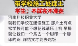 河南高校最新爆料,揭秘校园风云与学子心声